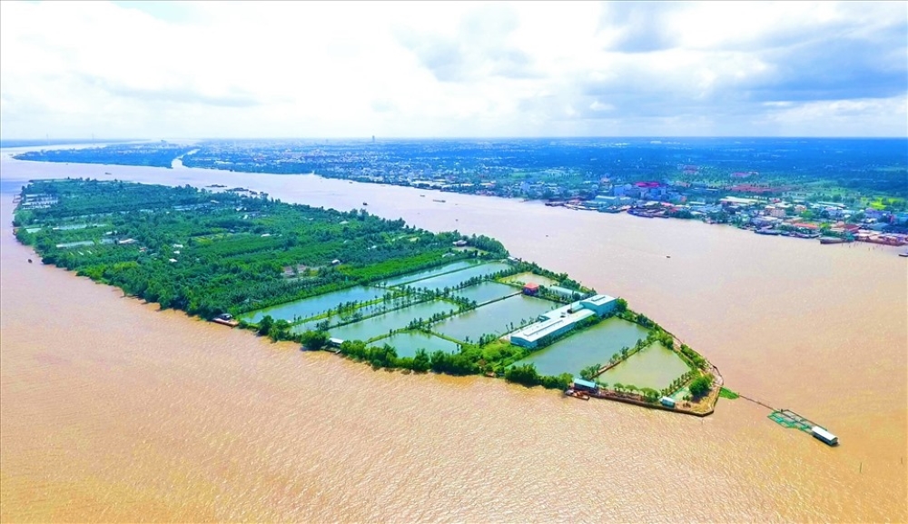 Du lịch Cần Thơ có gì chơi? 10+ trải nghiệm không thể bỏ lỡ 2025